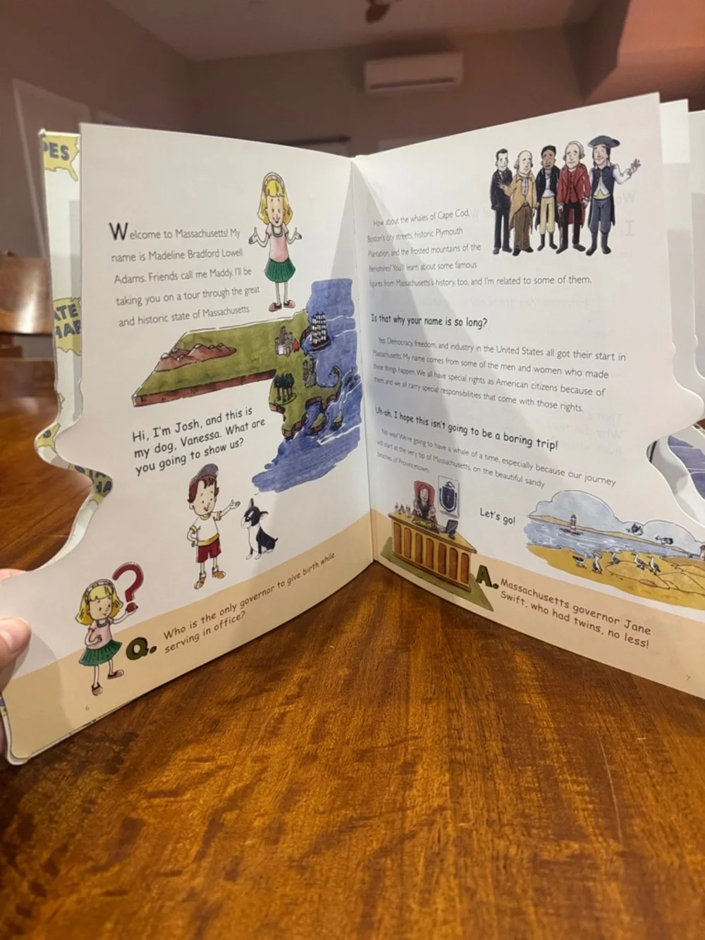 Massachusetts State Shapes Children's Book - Green Cover